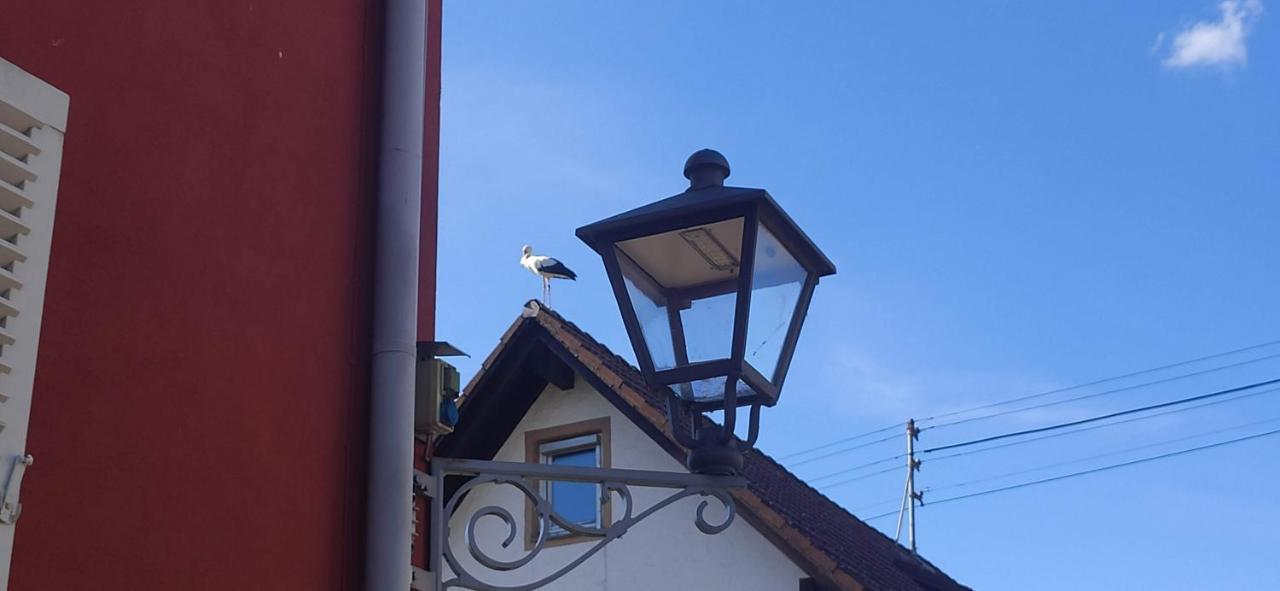Ferienwohnung Belchenblick Staufen im Breisgau Exterior foto
