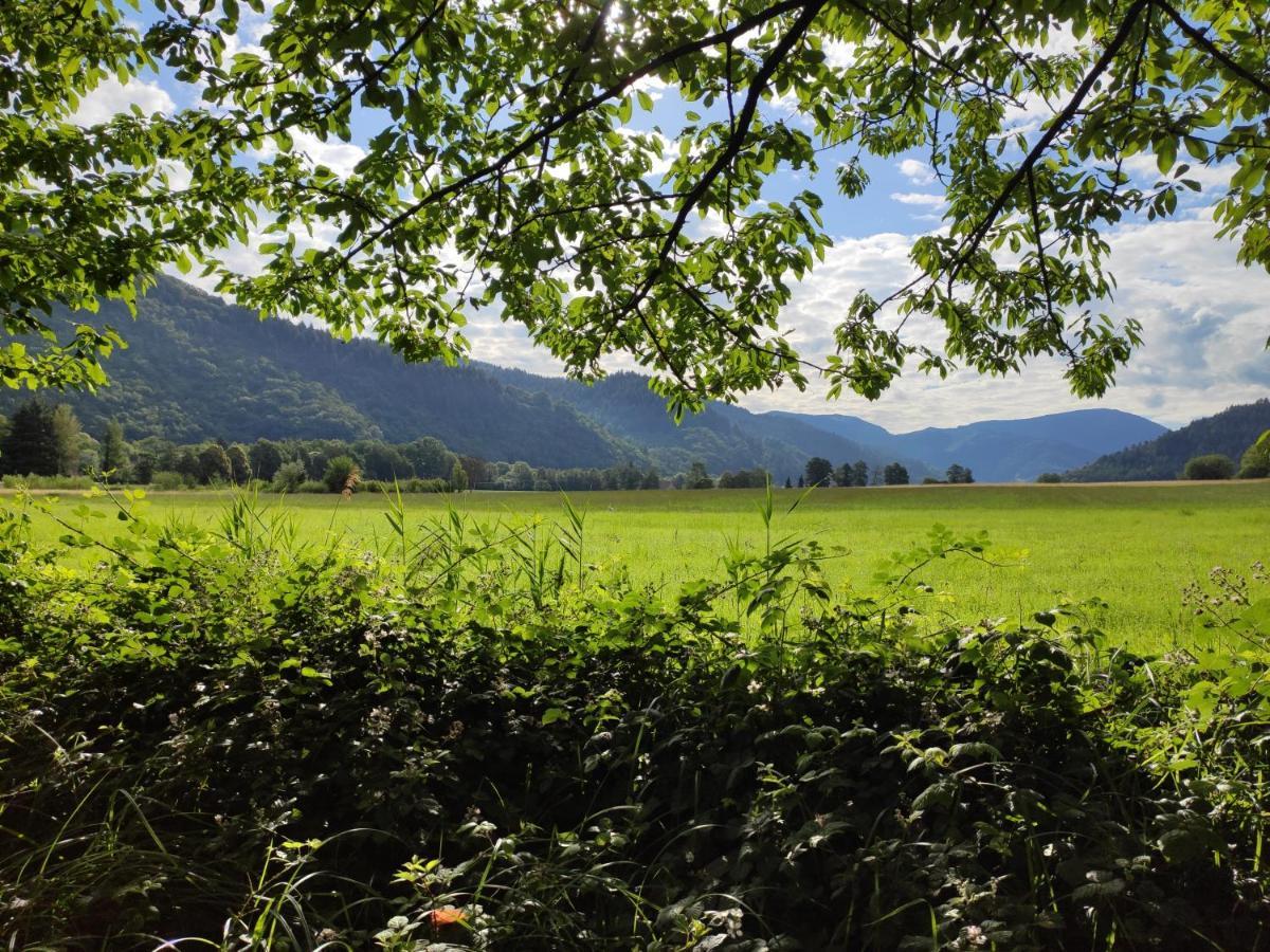 Ferienwohnung Belchenblick Staufen im Breisgau Exterior foto