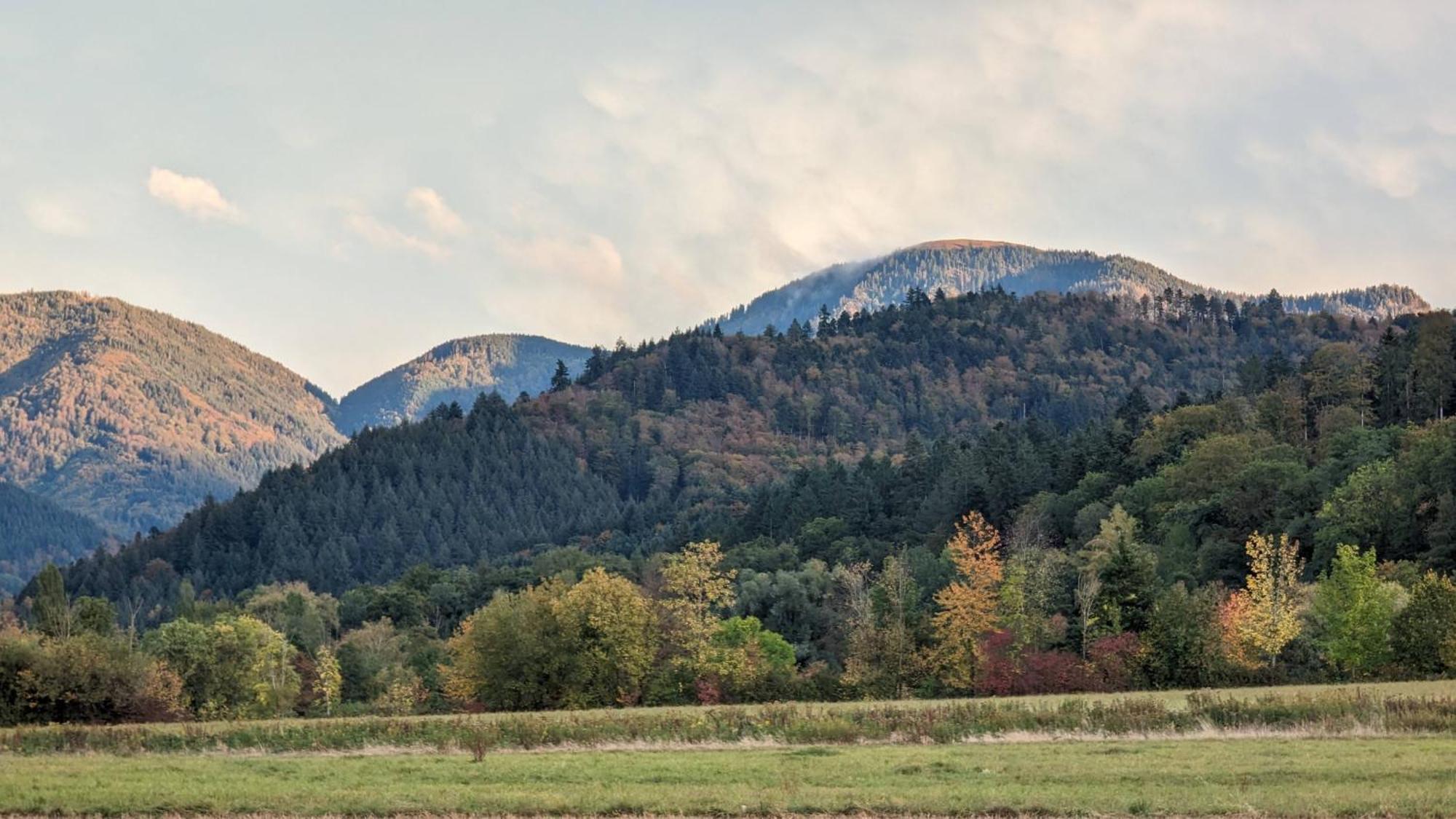 Ferienwohnung Belchenblick Staufen im Breisgau Exterior foto